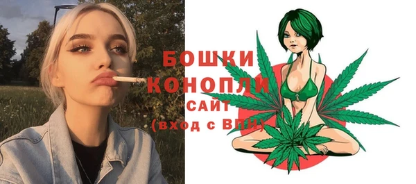 дурь Арсеньев