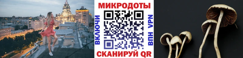 Купить  Завитинск  Псилоцибиновые грибы мухоморы 